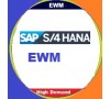 SAP S4 HANA EWM VIDEOS COURSE